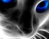 <b>Название: </b>Неоновая кошка, <b>Добавил:<b> ДИСА-И-МАКСА<br>Размеры: 240x320, 22.7 Кб